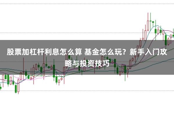股票加杠杆利息怎么算 基金怎么玩？新手入门攻略与投资技巧