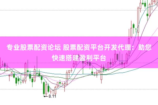 专业股票配资论坛 股票配资平台开发代理：助您快速搭建盈利平台