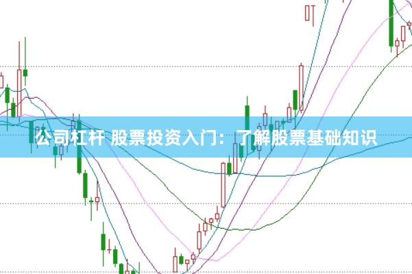 公司杠杆 股票投资入门：了解股票基础知识