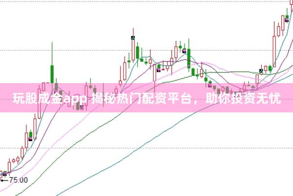 玩股成金app 揭秘热门配资平台，助你投资无忧