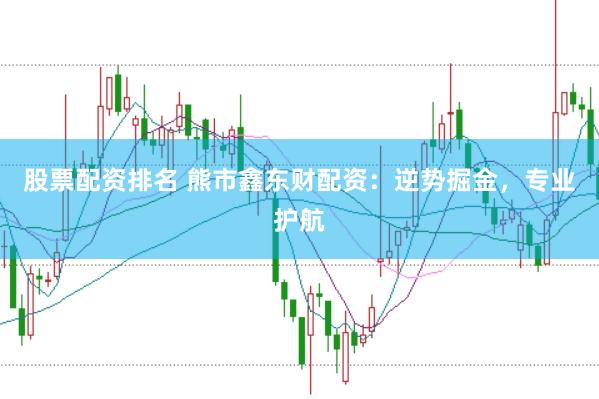 股票配资排名 熊市鑫东财配资：逆势掘金，专业护航