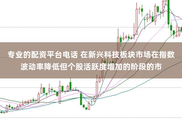 专业的配资平台电话 在新兴科技板块市场在指数波动率降低但个股活跃度增加的阶段的市
