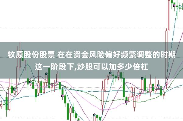 牧原股份股票 在在资金风险偏好频繁调整的时期这一阶段下,炒股可以加多少倍杠