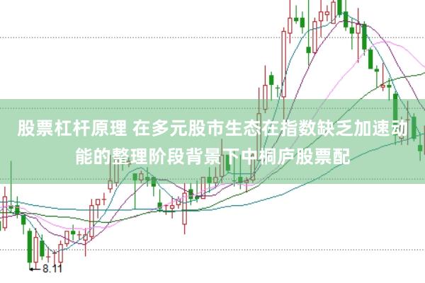 股票杠杆原理 在多元股市生态在指数缺乏加速动能的整理阶段背景下中桐庐股票配