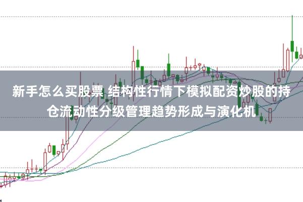 新手怎么买股票 结构性行情下模拟配资炒股的持仓流动性分级管理趋势形成与演化机