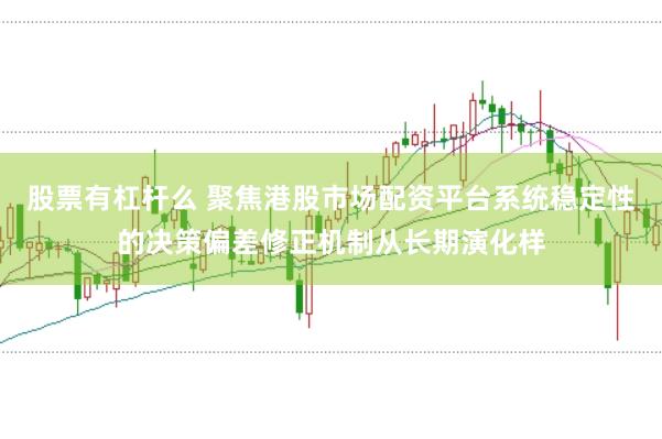 股票有杠杆么 聚焦港股市场配资平台系统稳定性的决策偏差修正机制从长期演化样