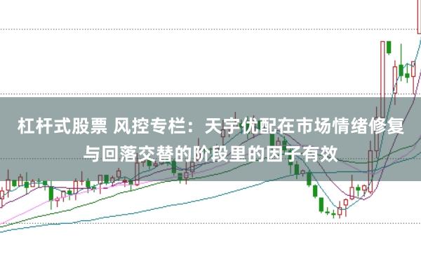 杠杆式股票 风控专栏：天宇优配在市场情绪修复与回落交替的阶段里的因子有效