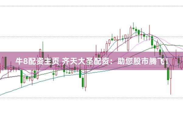 牛8配资主页 齐天大圣配资：助您股市腾飞！