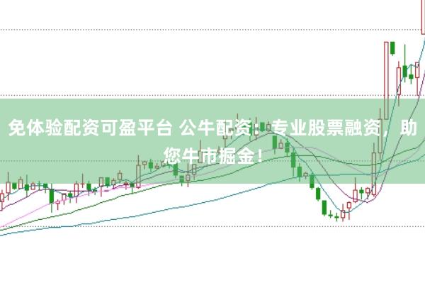 免体验配资可盈平台 公牛配资：专业股票融资，助您牛市掘金！