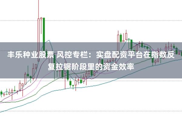 丰乐种业股票 风控专栏：实盘配资平台在指数反复拉锯阶段里的资金效率